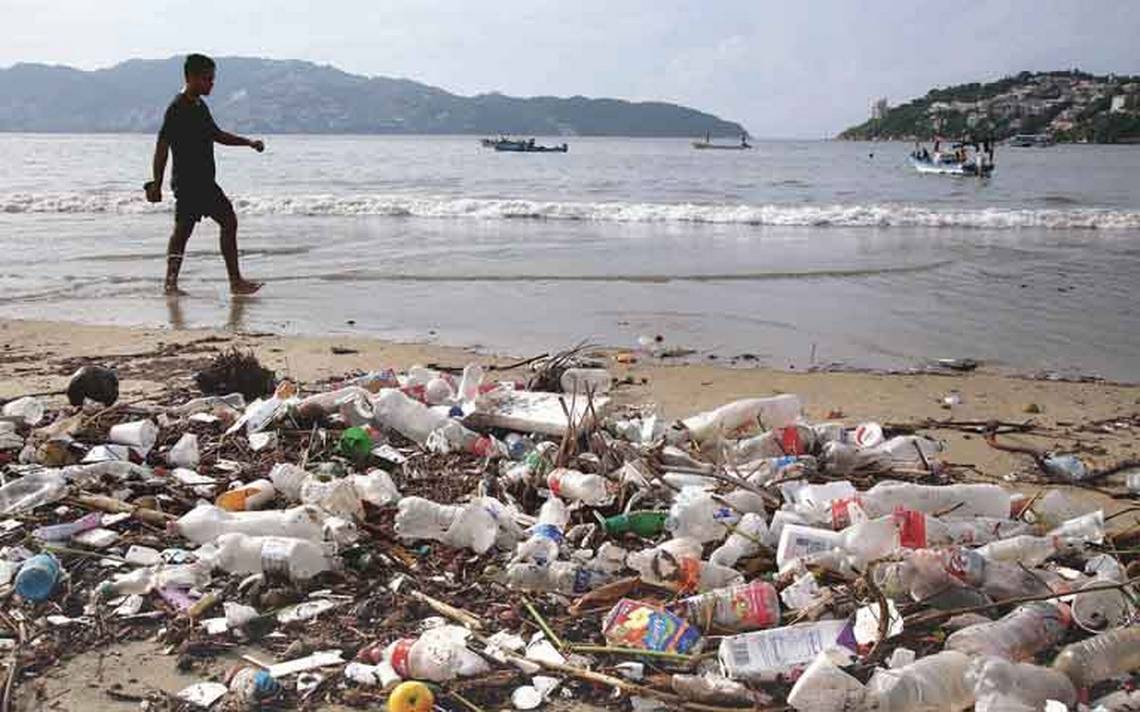 Natural | Playas públicas, ¿bienvenida la basura? acapulco